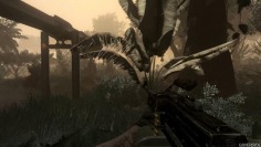 Far Cry 2_Lever de soleil