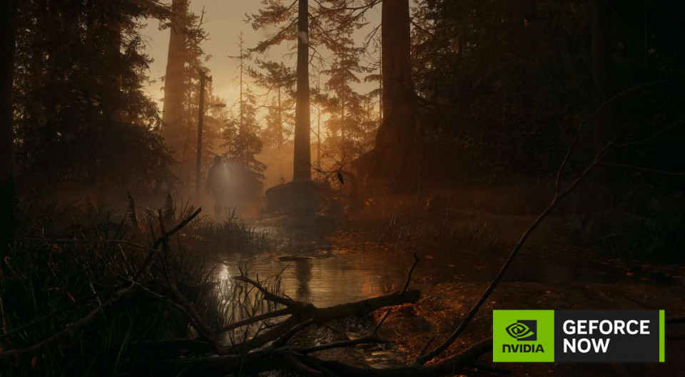 Can you play Alan Wake 2 on cloud gaming services?