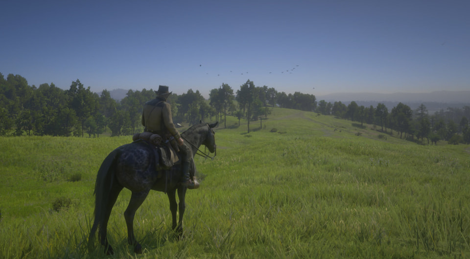 Red Dead Redemption 2, native 4K or resolution scaling? - Gamersyde